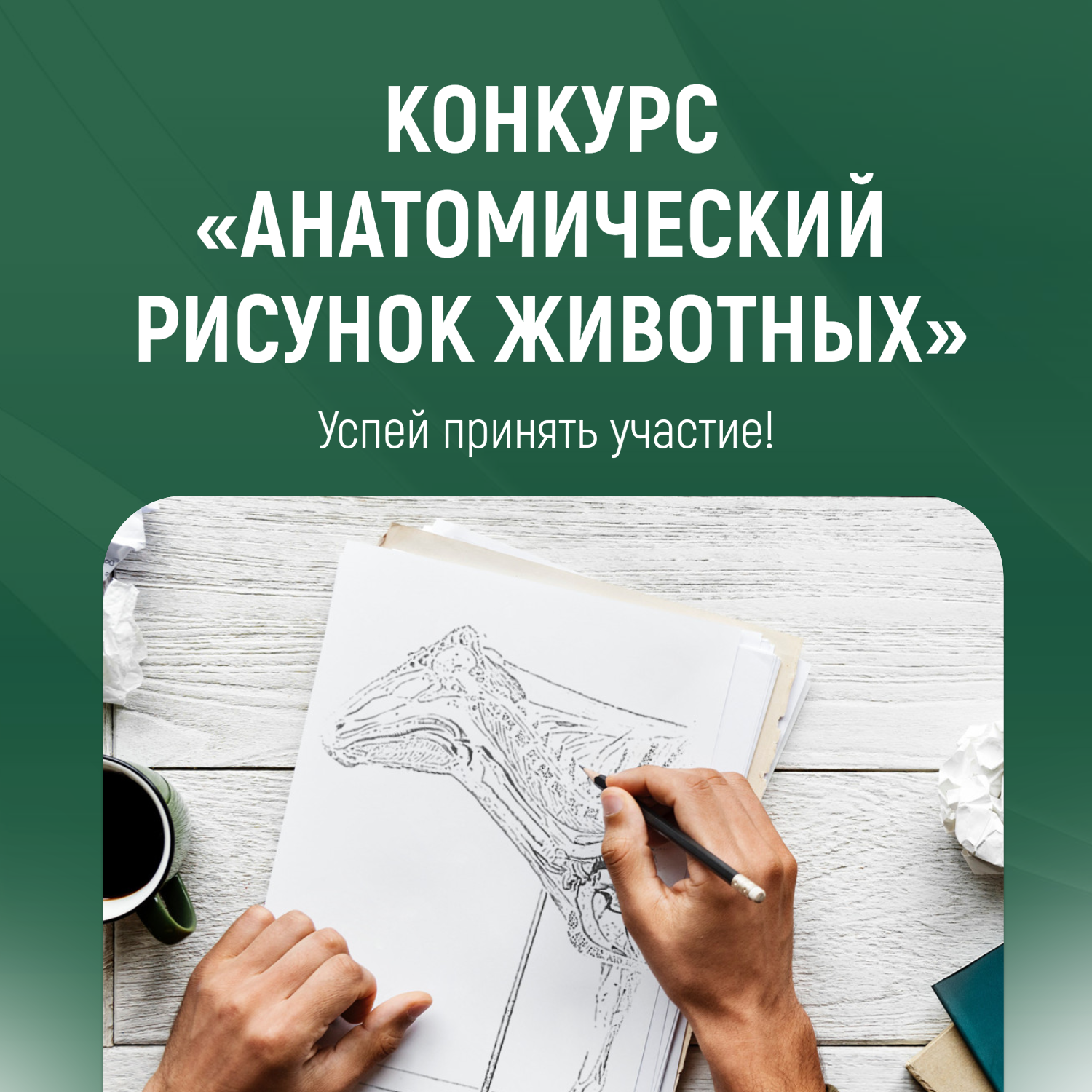ГАУ Северного Зауралья объявляет конкурс «Анатомический рисунок животных»