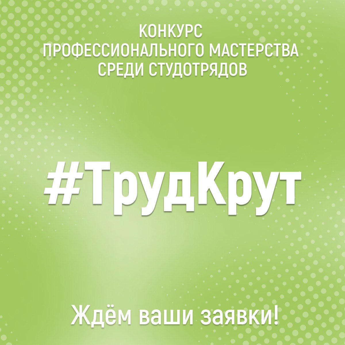 Конкурс профессионального мастерства среди студотрядов «#ТрудКрут» стартовал в ГАУ Северного Зауралья
